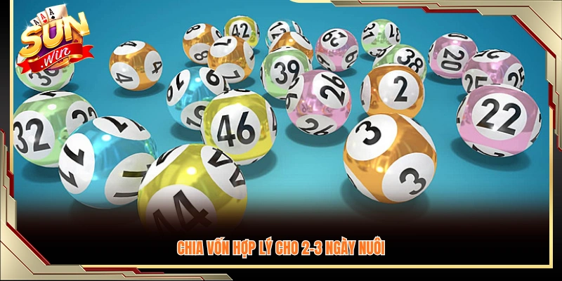 Phân bổ vốn phù hợp để nuôi lô khung trong 2–3 ngà